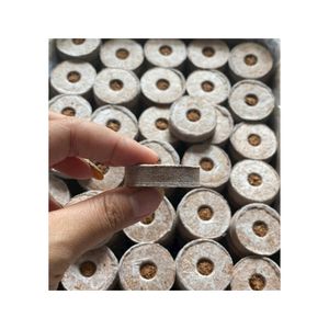 Sélection Populaire : Fibre de Coco Standard pour le Soutien des Plantes Industrielles et Composant Fiable pour les Systèmes de Pépinières Commerciales - Product Image 2