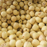 Graines de fleurs de lotus blanches séchées en vrac 100% pures avec une durée de conservation de 24 mois