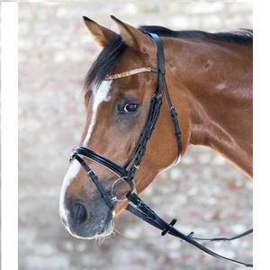 Wholesale Price Horse Bridle Wholesale Black Heavy Strong Duty Real Indian Leather Horse Bridle for Sale - Product Image 5