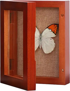 Bonne qualité Vente chaude de haute qualité multi-taille profonde 3D boîte d'ombre en bois cadre photo pour bricolage décoration de la maison - Product Image 2