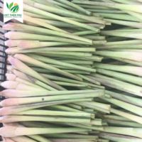 Citronnelle congelée de qualité supérieure meilleur pack de variétés d'épices santé-frites frites fraîches séchées haricots pois oignons graines de pommes de terre