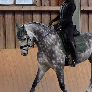 Flexible Design Horse Ear <b>Bonnet</b> For Riding Comfort Daily Wear Use Breathable Soft Horse Ear <b>Bonnet</b> - Product Image 5