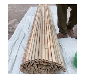 Fábrica de Vietnam que Suministra Postes de Bambú Natural para Agricultura, Jardinería y Proyectos de Construcción - Product Image 1