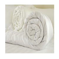 Prix de gros Couette surdimensionnée pour les nuits froides d'hiver en conception d'usine OEM Disponible maintenant en vente