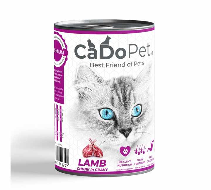 Wet Foods for Cat and Dog