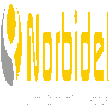 NORBIDEL logo