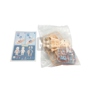 <strong>Science</strong> &amp; Engineering Toys Human Body Anatomy <strong>Model</strong> - Product Image 2