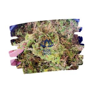 WHOLESALE PRICE Sphagnum Plants for Potted Plants Dried Forest <b>Green</b> <b>Moss</b> Vietnam Planting Orchid Decorative <b>Moss</b> - Product Image 1