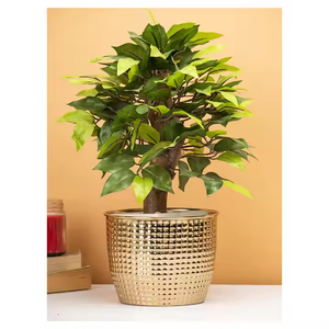 Admirable maceta de Metal florero diamante martillado diseño dorado brillante pulido maceta de Metal 9x10 pulgadas macetas de decoración de jardín - Product Image 4