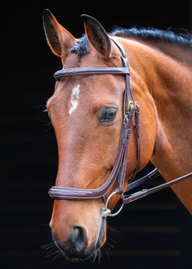 Brida al por mayor nueva brida de cuero snaffle de caballo de alta calidad en negro venta al por mayor nueva piel snaffle de caballo de alta calidad - Product Image 2