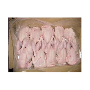 Exportateur en gros de poulet congelé de qualité supérieure, ailes, cuisses, fesses, poitrines, poulet entier halal, boîte de vitamines - Product Image 6