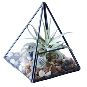 Boîte à plantes en verre transparent fait à la main décorative en métal noir suspendu Terrarium jardinière en verre et bougeoir décoration de jardin à la maison - Product Image 6