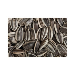 Wholesale <b>Sunflower</b> Seeds cheap price bulk supply fresh and natural <b>kernels</b> - Product Image 6