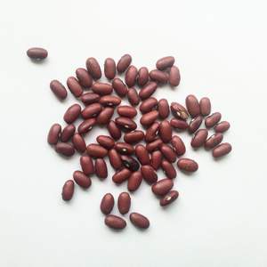 Vente en gros de haricots rouges Haricots rouges séchés offerts en grandes quantités pour l'industrie de la transformation des aliments et de l'emballage - Product Image 5