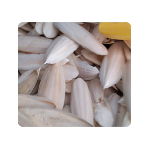 TENDENCIAS AHORA hueso de sepia para acondicionamiento de picos de pájaros pequeños y decoración de recintos de reptiles. - Product Image 3