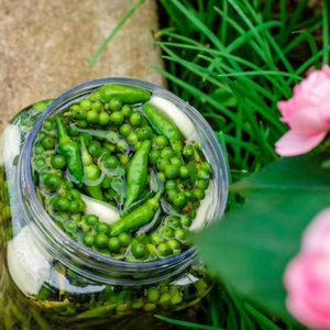 POIVRE VERT MARINÉ PRÊT À MANGER PRODUIT D'ÉPICES SAVOUREUX - Product Image 2