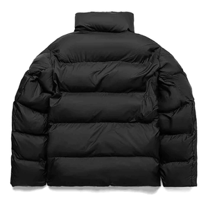 Men's High Street Style Premium Quality Winter Puffer Jacket Custom Logo OEM Outdoor <b>Bubble</b> Warm Windproof Stand Collar Spring - Product Image 5