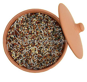 Brote personalizado BESTCERA con tapa Premium para bricolaje saludable jardinería casera brotador de cerámica brotador de terracota - Product Image 5