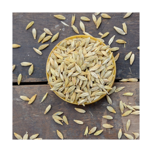 Vente en gros de grains d'orge en vrac pour supermarchés et distributeurs - Product Image 6