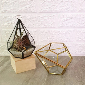 Shiny Gold Finished Clear <b>Glass</b> Geometric <b>Terrarium</b> Vase Garden Decorative Tabletop Home Office Restaurants Decorative Usage - Product Image 5