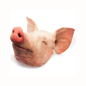 Cabeza de cerdo Proveedor profesional Cerdo congelado Cabeza de cerdo de alta calidad sin orejas lengua y papada Proveedor profesional a la venta - Product Image 3