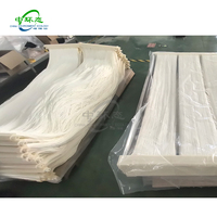 Système de module de membrane à rideau MBR en PTFE hydrophile submergé durable et efficace Zht-shuiyi, traitement de l'eau 10-40 L/mh, garantie 1 an