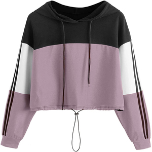 Venta al por mayor personalizado bordado algodón francés Terry Oversized Cropped Top Hoodie para mujeres moda Outwork Hooded para invierno ODM - Product Image 2