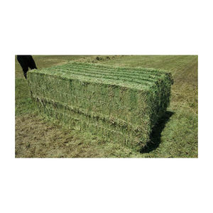 Heno de alfalfa para alimentación animal/pellets de heno de alfalfa/heno de Timothy en fardos - Product Image 1