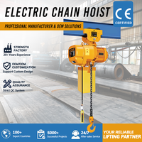 Palans électriques à chaîne robustes de 10 tonnes avec double chaîne de charge pour le levage de moteurs et d'équipements