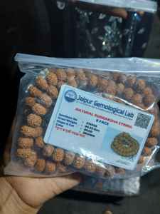 รูปปั้น Rudraksha 5 mukhi Mala ดั้งเดิม (สีดำ9-10มม.) ลูกปัด108แบบดั้งเดิม - Product Image 6