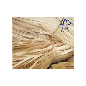 ใบปาล์มคอริฟาเลคอมเต้ วัตถุดิบจากเวียดนามสำหรับทำงานฝีมือ - Product Image 1