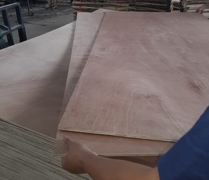 Diseño moderno de Vietnam Núcleo de madera contrachapada de madera dura de 1220*2440mm Precio competitivo con embalaje óptimo para aplicaciones de almacén - Product Image 2