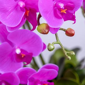 THAOF-133 น้ํายางกล้วยไม้ก้านประดิษฐ์ดอกไม้สัมผัสจริงน้ํายางFaux Phalaenopsisสาขา 9 ดอกไม้ขนาดใหญ่ 38 นิ้ว - Product Image 3