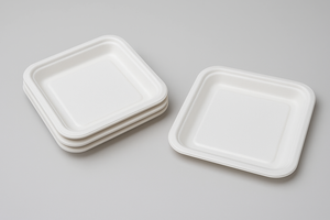 Thân Thiện Với Môi Bã Mía Bữa Ăn Tối 7/8/10 Inch Vuông Dùng Một Lần Món Tráng Miệng/Salad Tấm Khay Trọng Lượng Nhẹ Phân Hủy Sinh Học Mía Giấy - Product Image 2