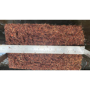 Organic 100 20 12 cm Cocopeat Grow <b>Block</b> Pre-Filled Coconut <b>Coir</b> Fiber Chip Ready to Use for Vegetable Growing Certified Organic - Product Image 1