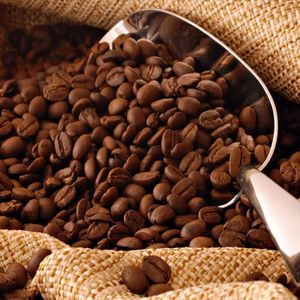 Grains de café Robusta torréfiés en gros à vendre - Product Image 1