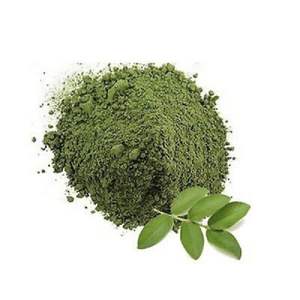 Polvo de Hoja de Guayaba Seca a Granel para Exportar a Precio Económico desde Vietnam - Product Image 2