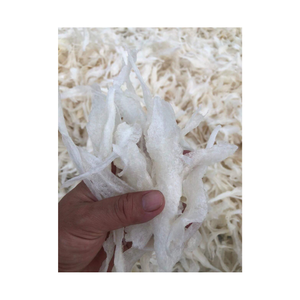 Vente en gros de produits culinaires de la mer à vendre Mâche de poisson sélectionnée à la main soigneusement séchée pour une taille et une qualité constantes - Product Image 3