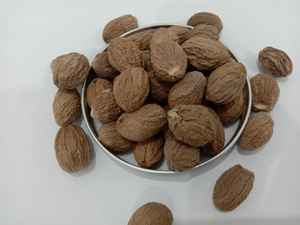 NUTMEG SS 10-25Kg par boîte Durée de conservation de 1 an Utilisation de légumes et d'épices - Product Image 2