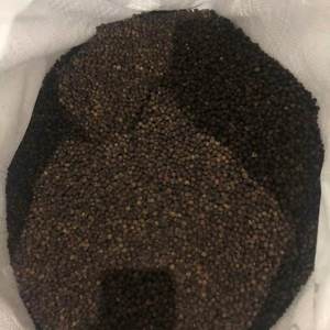 Pimienta negra Natural 100% de alta calidad, el mejor precio, especias individuales, hierbas, estilos secos frescos, anuncio crudo, pimienta de Chile entera de la mejor calidad - Product Image 1