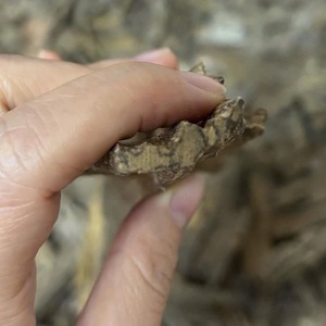 Améliorer la vie quotidienne avec le toucher parfumé de bois d'agar - Product Image 5