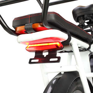 PHILODO-Tricycle électrique de voyage pour famille et cargaison, moteur de moyeu arrière, cadre en aluminium, batterie au lithium 48V, 250W, pré-vente - Product Image 1