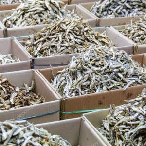 Prix de gros petits poissons d'anchois séchés Emballage de saison Vietnam de haute qualité Marché personnalisé - Product Image 3