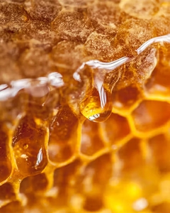 MIEL NATUREL DE HAUTE QUALITÉ OEM MARQUE PRIVÉE - Product Image 4