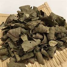 HOJAS DE GUAYUVA SECAS PARA APOYO INMUNE TÉ NATURAL ETIQUETA LIMPIA HIERBAS SANITARIAS A BASE DE PLANTAS - Product Image 2