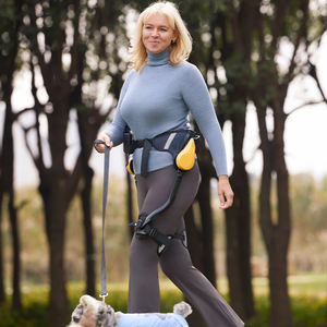 Stablego: Focalizzato sul Mercato Globale, Risponde alle Esigenze degli Escursionisti Anziani, l'Esoscheletro per Escursionismo Offre un'Occasione di Mercato Unica - Product Image 5