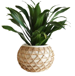 Maceta de ratán hecha a mano para plantas, maceta de flores de tamaño personalizado para el hogar y el jardín, maceta de decoración de suelo - Product Image 3