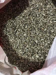 Millet blanc de qualité supérieure en gros |   Fournisseur d'aliments pour oiseaux et de produits alimentaires - Product Image 3