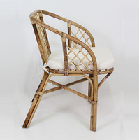 Fauteuil de loisirs moderne en rotin Shibori pour salon et salle à manger avec housse amovible, mobilier de maison