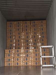 Viet Nam hizo 21 24 cm palillos de sushi de bambú desechables a granel de alta calidad con logotipo cubierta de papel suministro a granel - Product Image 5